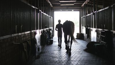 Horse Barn Installation And Repair - Building Hamilton, Mississippi