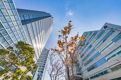 Finished Building in Winter